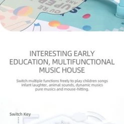 DMV Babygym - Speeltjes En Piano Voor Baby 0-1 Jaar - Babymat - Baby Speelmat - Interactief Speelmat - Multicolor 20 DMV Babygym - Speeltjes En Piano Voor Baby 0-1 Jaar - Babymat - Baby Speelmat - Interactief Speelmat - Multicolor -babygyms Winkel 360x840 5