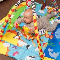 Lionelo Anika Plus - Babygym - 2 In 1 Speelkleed - 5 Speelgoed -babygyms Winkel 472x840 2