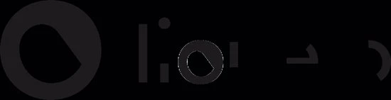 Lionelo Robby - Babygym - 2 In 1 Speelkleed - 5 Speelgoed 2 Lionelo Robby - Babygym - 2 In 1 Speelkleed - 5 Speelgoed - Afbeelding 2