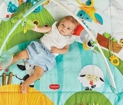 Tiny Love Babygym Kick & Play - Tiny Farm -babygyms Winkel 550x211 1