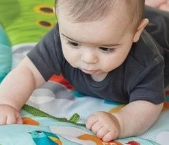 Tiny Love Babygym Kick & Play - Tiny Farm -babygyms Winkel 550x211 5