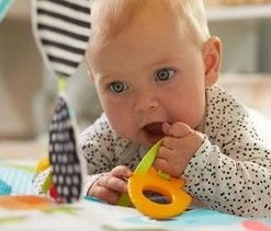 Tiny Love Babygym Sunny Day - Meadow Days 52 Tiny Love Babygym Sunny Day - Meadow Days -babygyms Winkel 550x211 6