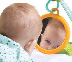 Tiny Love Babygym Sunny Day - Meadow Days 51 Tiny Love Babygym Sunny Day - Meadow Days -babygyms Winkel 550x213