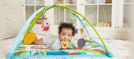 Tiny Love Babygym Sunny Day - Meadow Days 24 Tiny Love Babygym Sunny Day - Meadow Days - Afbeelding 24