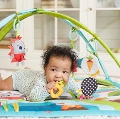 Tiny Love Babygym Sunny Day - Meadow Days 38 Tiny Love Babygym Sunny Day - Meadow Days -babygyms Winkel 550x245