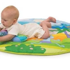 Taf Toys Baby Gym - Speelkleed Met Afneembare Bogen En Speeltjes - 0 - 24 Mnd 23 Taf Toys Baby Gym - Speelkleed Met Afneembare Bogen En Speeltjes - 0 - 24 Mnd -babygyms Winkel 550x283 1