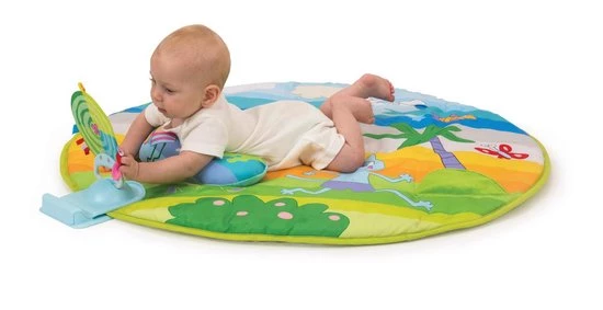 Taf Toys Baby Gym - Speelkleed Met Afneembare Bogen En Speeltjes - 0 - 24 Mnd 11 Taf Toys Baby Gym - Speelkleed Met Afneembare Bogen En Speeltjes - 0 - 24 Mnd - Afbeelding 11
