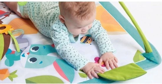 Tiny Love Babygym Sunny Day - Meadow Days 23 Tiny Love Babygym Sunny Day - Meadow Days - Afbeelding 23