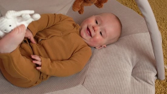 Baby's Only Baby Speelkleed Met Boog - Baby Gym - Playmat - Speelmat Sense - Caramel/Kiezelgrijs/Wit - Zachte Rib Corduroy Stof - 94x83 Cm 2 Baby's Only Baby Speelkleed Met Boog - Baby Gym - Playmat - Speelmat Sense - Caramel/Kiezelgrijs/Wit - Zachte Rib Corduroy Stof - 94x83 Cm - Afbeelding 2