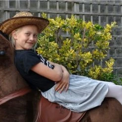 MY PONY, Rijdend Speelgoed Paard Van ROLLZONE ®, 8+ Jaar (MP2009-L) | MY PONY Hobbelpaard 15 MY PONY, Rijdend Speelgoed Paard Van ROLLZONE ®, 8+ Jaar (MP2009-L) | MY PONY Hobbelpaard -babygyms Winkel 550x310 3