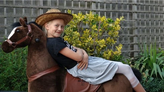 MY PONY, Rijdend Speelgoed Paard Van ROLLZONE ®, 8+ Jaar (MP2009-L) | MY PONY Hobbelpaard 5 MY PONY, Rijdend Speelgoed Paard Van ROLLZONE ®, 8+ Jaar (MP2009-L) | MY PONY Hobbelpaard - Afbeelding 5