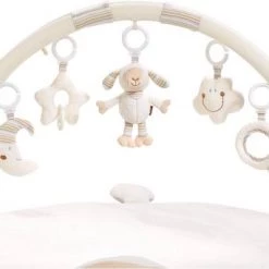 Babygym, Baby Cadeau - Jongen & Meisje, Dierenvriendjes Speelmat, Interactief Speelgoed - Multikleuren. -babygyms Winkel 550x342 1