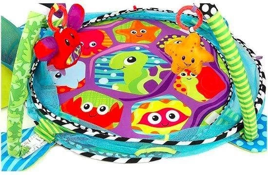 MIRO Babygym Schildpad 3 In 1 Speelmat + Ballenbak 0 Tot 2 Jaar Fairchild 4 MIRO Babygym Schildpad 3 In 1 Speelmat + Ballenbak 0 Tot 2 Jaar Fairchild - Afbeelding 4
