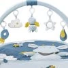 Babygym, Baby Cadeau - Jongen & Meisje, Dierenvriendjes Speelmat, Interactief Speelgoed - Multikleuren.