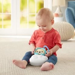 Fisher-Price Vlinderdromen Gym -babygyms Winkel 550x365 2