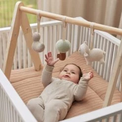 Jollein Babygym Speeltjes - Lamb 25 Jollein Babygym Speeltjes - Lamb -babygyms Winkel 550x366 40