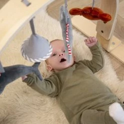 Tryco Houten Babygym TR-303011 19 Tryco Houten Babygym TR-303011 -babygyms Winkel 550x366 52