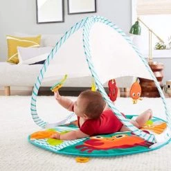 Fisher-Price Fisher Price Draagbare Gym 14 Fisher-Price Fisher Price Draagbare Gym -babygyms Winkel 550x366 71