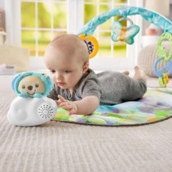 Fisher-Price Vlinderdromen Gym -babygyms Winkel 550x366 74