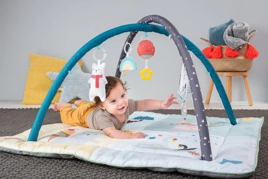 Taf Toys Baby-gym North Pole 4 Season Junior 100 X 100 X 50 Cm 6 Taf Toys Baby-gym North Pole 4 Season Junior 100 X 100 X 50 Cm - Afbeelding 6