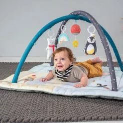 Taf Toys Baby-gym North Pole 4 Season Junior 100 X 100 X 50 Cm 15 Taf Toys Baby-gym North Pole 4 Season Junior 100 X 100 X 50 Cm -babygyms Winkel 550x367 11