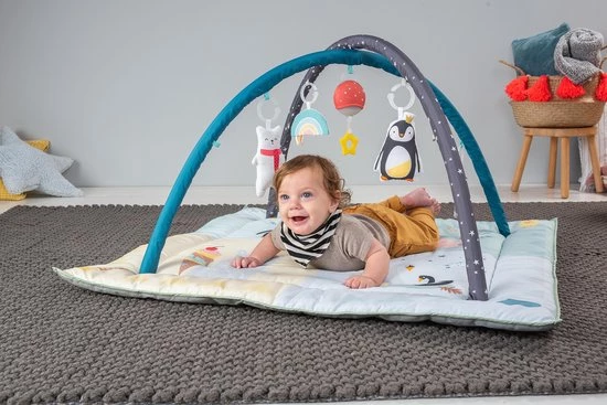 Taf Toys Baby-gym North Pole 4 Season Junior 100 X 100 X 50 Cm 8 Taf Toys Baby-gym North Pole 4 Season Junior 100 X 100 X 50 Cm - Afbeelding 8