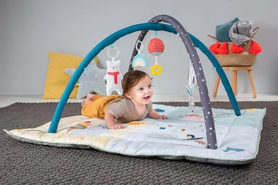 Taf Toys Baby-gym North Pole 4 Season Junior 100 X 100 X 50 Cm 5 Taf Toys Baby-gym North Pole 4 Season Junior 100 X 100 X 50 Cm - Afbeelding 5