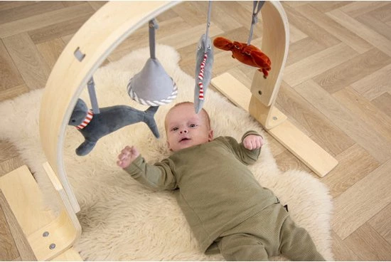 Tryco Houten Babygym TR-303011 4 Tryco Houten Babygym TR-303011 - Afbeelding 4