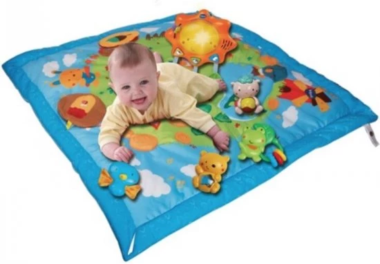 VTech Baby Vtech Activiteitenboog Voor Baby's | Vtech Deken 2 In 1 | Music Discovery Gym | Babyspeelgoed | Babygym 4 VTech Baby Vtech Activiteitenboog Voor Baby's | Vtech Deken 2 In 1 | Music Discovery Gym | Babyspeelgoed | Babygym - Afbeelding 4