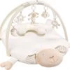 Babygym, Baby Cadeau - Jongen & Meisje, Dierenvriendjes Speelmat, Interactief Speelgoed - Multikleuren.