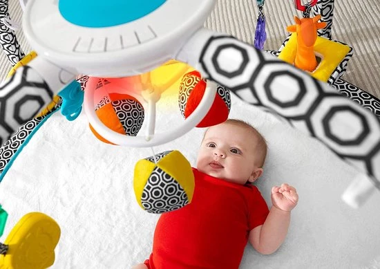 Babygym, Baby Cadeau - Jongen & Meisje, Dierenvriendjes Speelmat, Interactief Speelgoed – Multikleuren 3 Babygym, Baby Cadeau - Jongen & Meisje, Dierenvriendjes Speelmat, Interactief Speelgoed – Multikleuren - Afbeelding 3