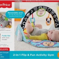 Fisher-Price 2-in-1 Activity Gym -babygyms Winkel 550x396 7