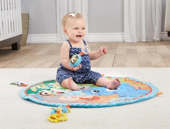 Little Tikes Sway 'n Play Gym 8 Little Tikes Sway 'n Play Gym - Afbeelding 8