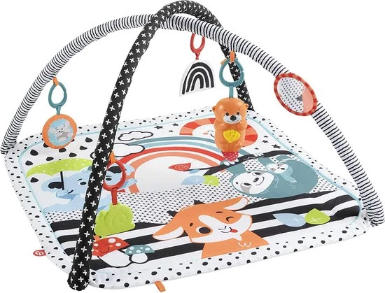 Babygym, Baby Cadeau - Jongen & Meisje, Dierenvriendjes Speelmat, Interactief Speelgoed – Multikleuren 1 Babygym, Baby Cadeau - Jongen & Meisje, Dierenvriendjes Speelmat, Interactief Speelgoed – Multikleuren