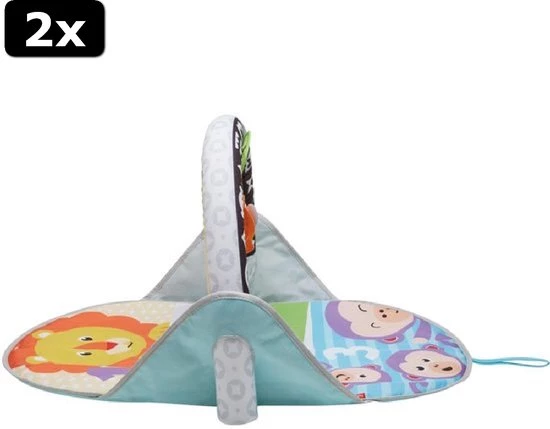 2x Fisher-Price 2-in-1 Activity Gym 16 2x Fisher-Price 2-in-1 Activity Gym - Afbeelding 16