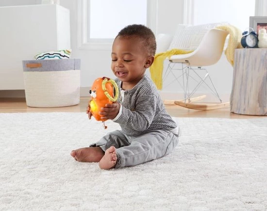 Fisher-Price Baby Gym - Speelmat Met 21 Zintuigelijke Ontdekkingsspeeltjes 11 Fisher-Price Baby Gym - Speelmat Met 21 Zintuigelijke Ontdekkingsspeeltjes - Afbeelding 11