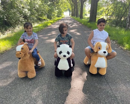 PetRide By ROLLZONE PetRide Van ROLLZONE, Elektrisch Rijdend Paard - Rijdend Speelgoed In Dierenstijl! 14 PetRide By ROLLZONE PetRide Van ROLLZONE, Elektrisch Rijdend Paard - Rijdend Speelgoed In Dierenstijl! - Afbeelding 14