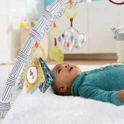 Fisher-Price Baby Gym - Speelmat Met 21 Zintuigelijke Ontdekkingsspeeltjes 29 Fisher-Price Baby Gym - Speelmat Met 21 Zintuigelijke Ontdekkingsspeeltjes -babygyms Winkel 550x443