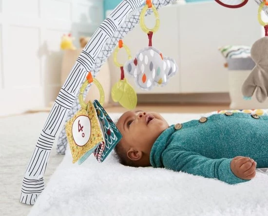Fisher-Price Baby Gym - Speelmat Met 21 Zintuigelijke Ontdekkingsspeeltjes 13 Fisher-Price Baby Gym - Speelmat Met 21 Zintuigelijke Ontdekkingsspeeltjes - Afbeelding 13