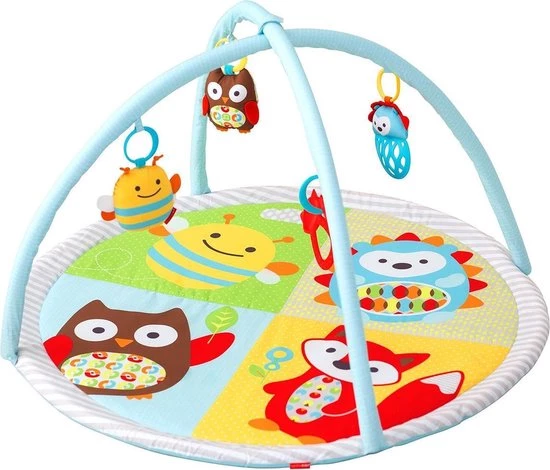 Skip Hop Explore And More Funscape Activity Gym 1 Skip Hop Explore And More Funscape Activity Gym