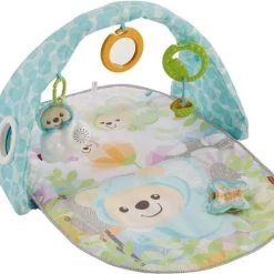 Fisher-Price Vlinderdromen Gym