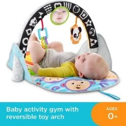 Fisher-Price 2-in-1 Activity Gym -babygyms Winkel 550x517 7