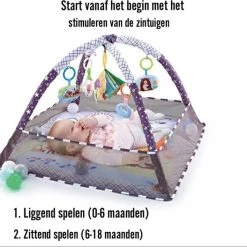 Easy Life Babygym - Speelkleed - Speeltapijt- Baby Speelgoed - Blauw -babygyms Winkel 550x527 6