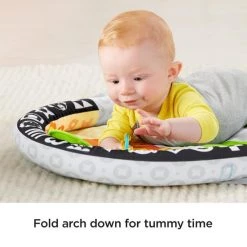 Fisher-Price 2-in-1 Activity Gym -babygyms Winkel 550x550 13