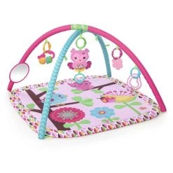 Bright Starts Pink Charming Chirps Activity Gym 17 Bright Starts Pink Charming Chirps Activity Gym -babygyms Winkel 550x550 135