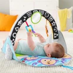 Fisher-Price 2-in-1 Activity Gym -babygyms Winkel 550x550 14