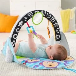 Fisher-Price 2-in-1 Activity Gym -babygyms Winkel 550x550 19