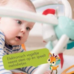 Tiny Love Gymini Deluxe, Baby Speelkleed Met Muziek En Baby Activity Gym, Geschikt Vanaf De Geboorte, 0m +, 88 X 78 Cm, Into The Forest -babygyms Winkel 550x550 224