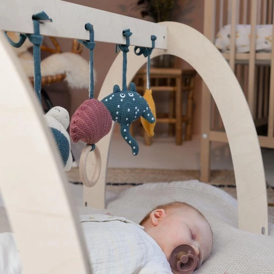 Baby Bello Sammy De Zeester - Babygym Speeltjes - Baby Speelgoed 3 Baby Bello Sammy De Zeester - Babygym Speeltjes - Baby Speelgoed - Afbeelding 3