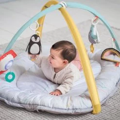 Taf Toys Babynestje En Babygym In 2 In 1 Met Afneembare Bogen En Speeltjes - Met Licht En Afneembaar Muziekdoosje -babygyms Winkel 550x550 300